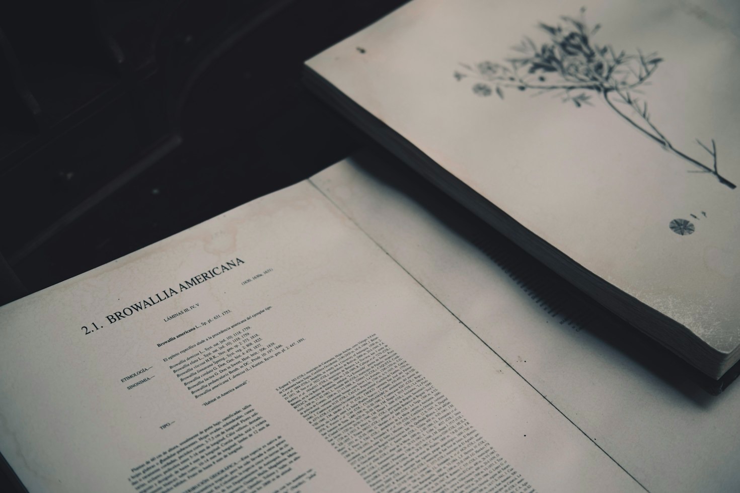 Navigating Educational Resources with Accuracy and Confidence