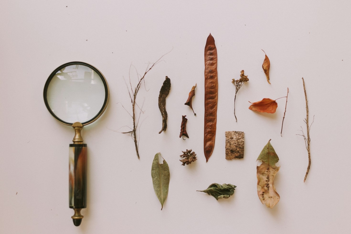Historical Context and Modern Perspectives on Psychedelics
